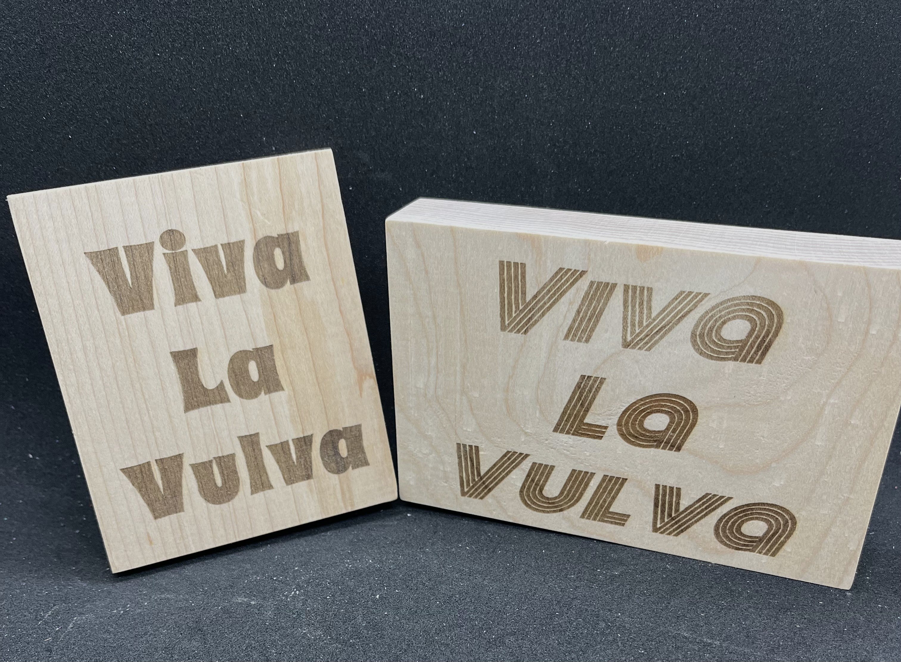 Viva La Vulva wood plaque